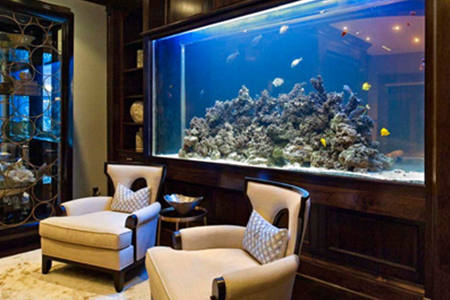 摆鱼缸有风水的讲究吗