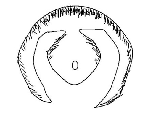 损丁退财局什么样？