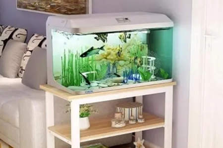 家里鱼缸摆放位置风水吉位