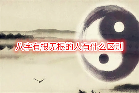 八字有根无根的人有什么区别