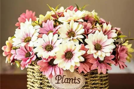 房间放假花风水好不好