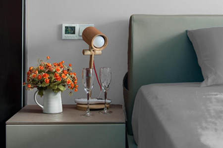 卧室放什么花风水最好