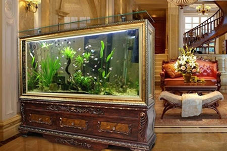 居家鱼缸摆放风水禁忌