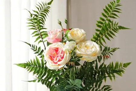 客厅摆什么花旺风水