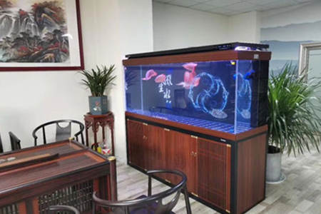 办公室鱼缸风水禁忌