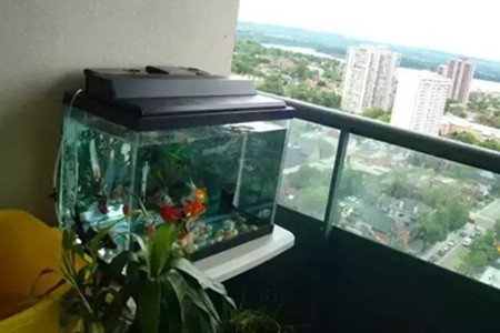 阳台放鱼缸风水好吗