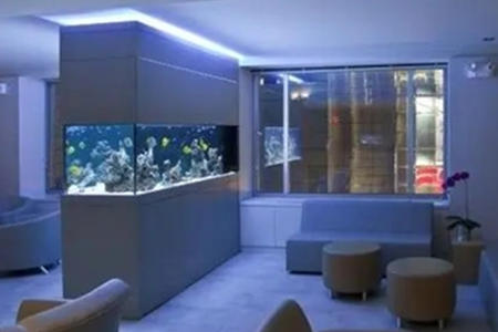 风水学鱼缸的摆设禁忌