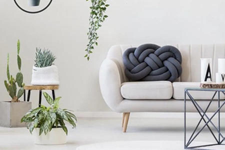 对家庭风水好的植物有哪些