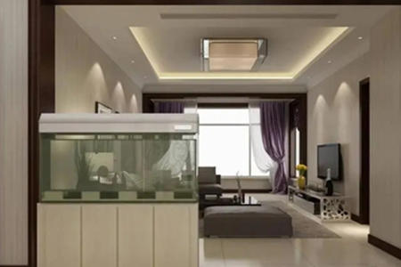 家里养鱼的风水禁忌有什么