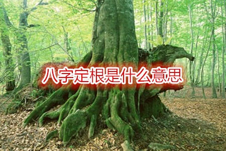 八字定根是什么意思