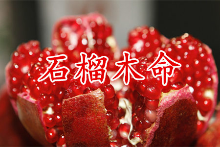 辛酉年出生的石榴木命怎么样？