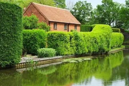 房后有池塘风水好不好