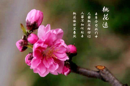 八字带桃花是什么意思？