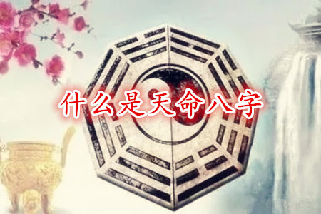 什么是天命八字