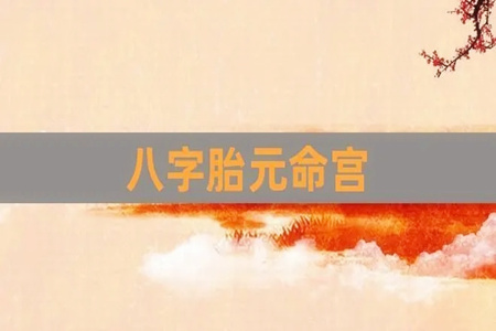八字胎元命宫的四大作用