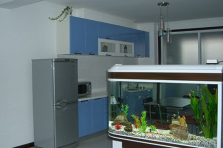 鱼缸的摆放风水禁忌