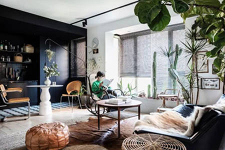 风水客厅摆什么植物最好