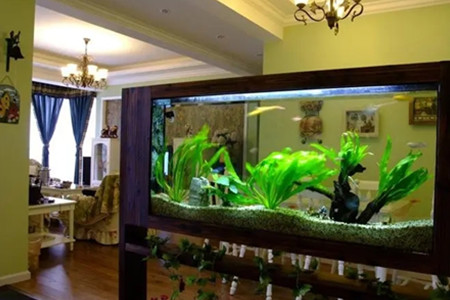 鱼缸放什么位置风水好