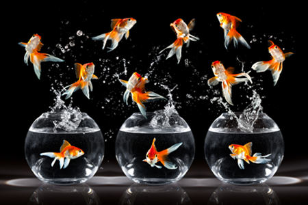 风水鱼缸的摆放位置