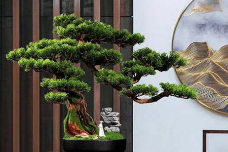 玄关摆什么植物风水好