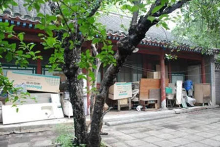 院子种什么树好风水