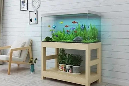 风水鱼缸应如何摆放