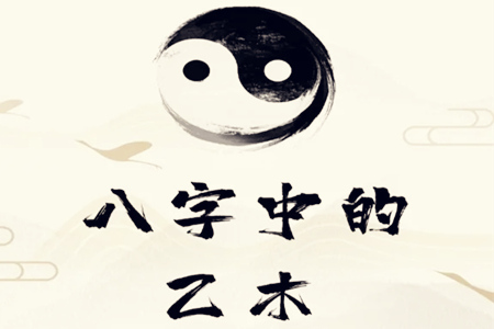 八字身弱乙木最好的大运是什么