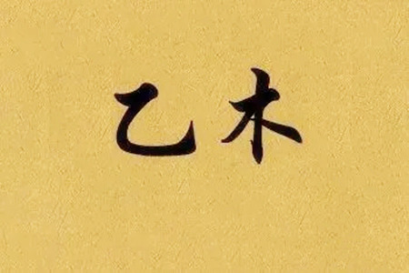 八字乙木生于春季好不好
