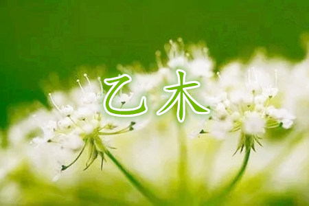 乙木为什么不能太有钱？