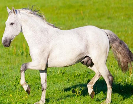 2023年最倒霉的属相是哪些？