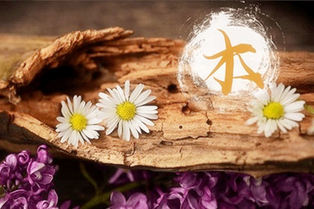 五行缺木的女人命好吗？