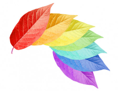 2023年属龙人幸运色和禁忌色？