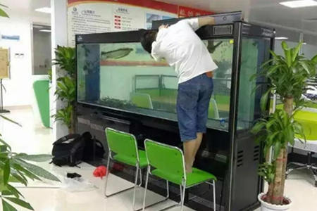 公司鱼缸的摆放风水