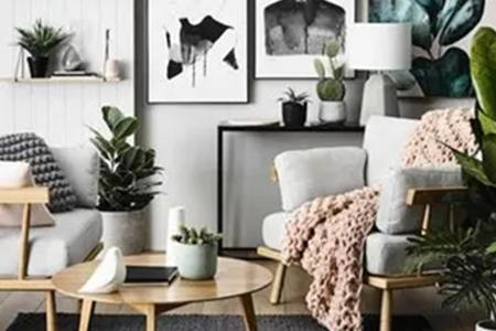 什么植物放家里风水好