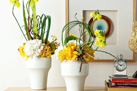 室内花卉的摆放风水讲究