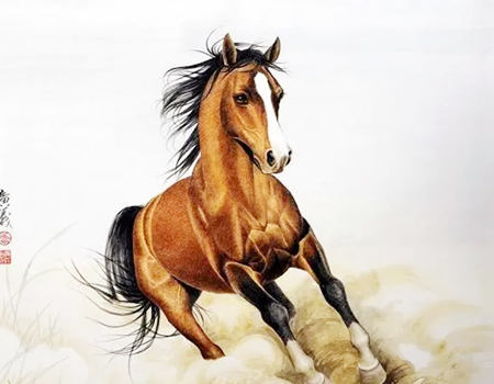 1942年属什么生肖属相?