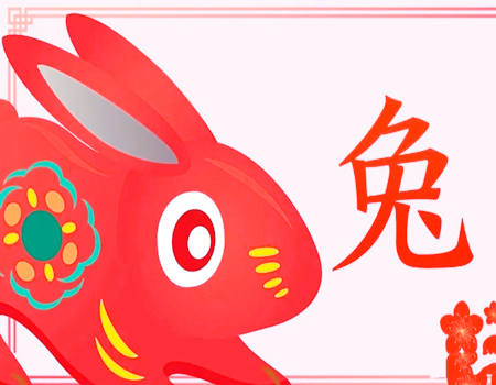 哪一年出生的兔子命最好?