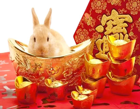 属兔人干什么一碰就能发财？