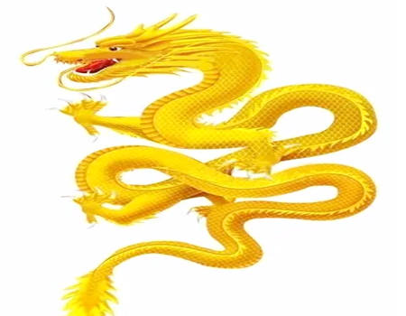 社交能力很强的生肖有哪些？