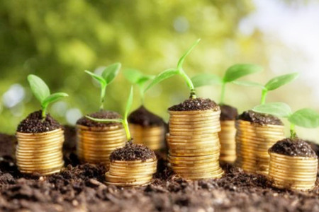 哪些八字适合做金融?