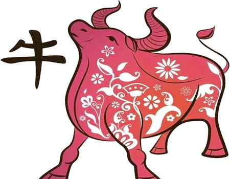 属牛2023年不适合做什么工作？