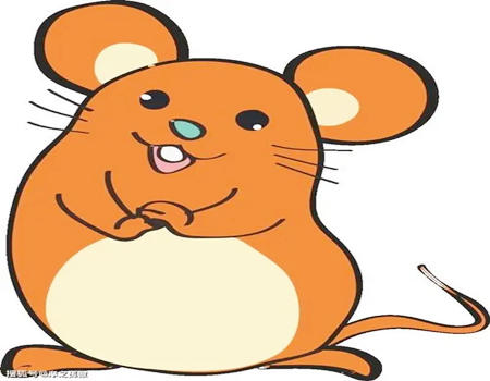 2023年适合换工作的生肖有哪些?