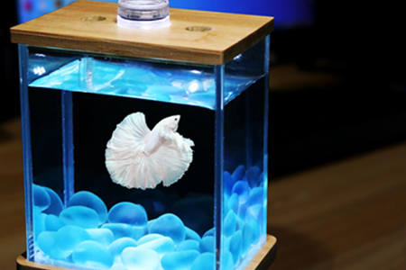 办公室鱼缸怎么摆放风水好
