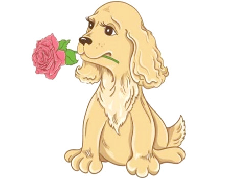 1982年属什么生肖？