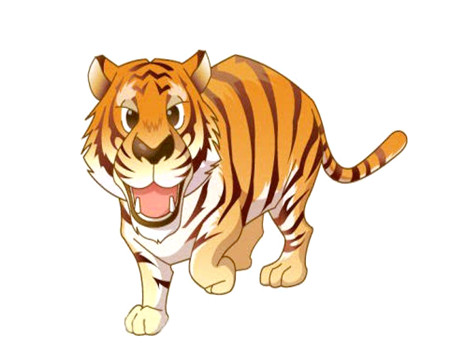 1963年属什么生肖?