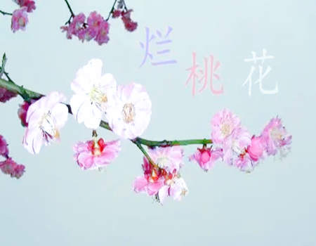 2023年烂桃花最旺的生肖有哪些？