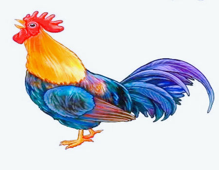 属鸡犯冲的属相有哪些?