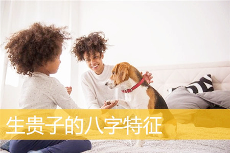 晚年能享儿子福气的八字特征有哪些?