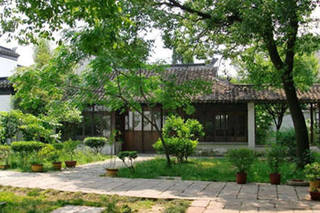 院子里种树的风水禁忌