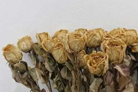 家里摆放干花的风水